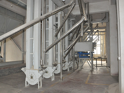 金典風采14